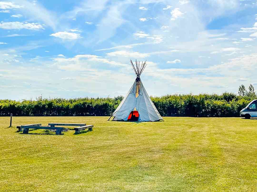 Oxford Oak Camping: Visitor image of the tipi