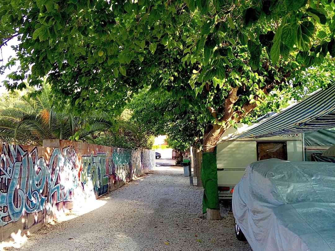 Camping Bon Sol El Campello Pitchup