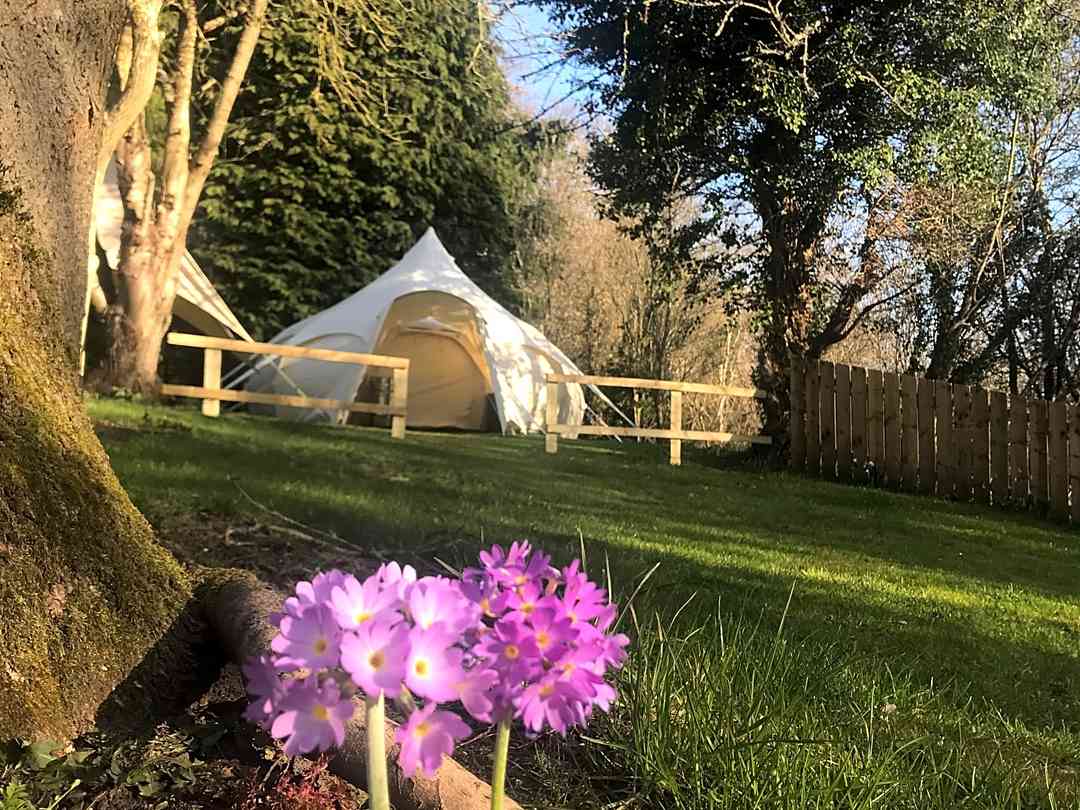 Alum House Glamping (fotot lades till av emiliap 2021-06-16) Alum House Glamping (fotot lades till av emiliap 2021-06-16)