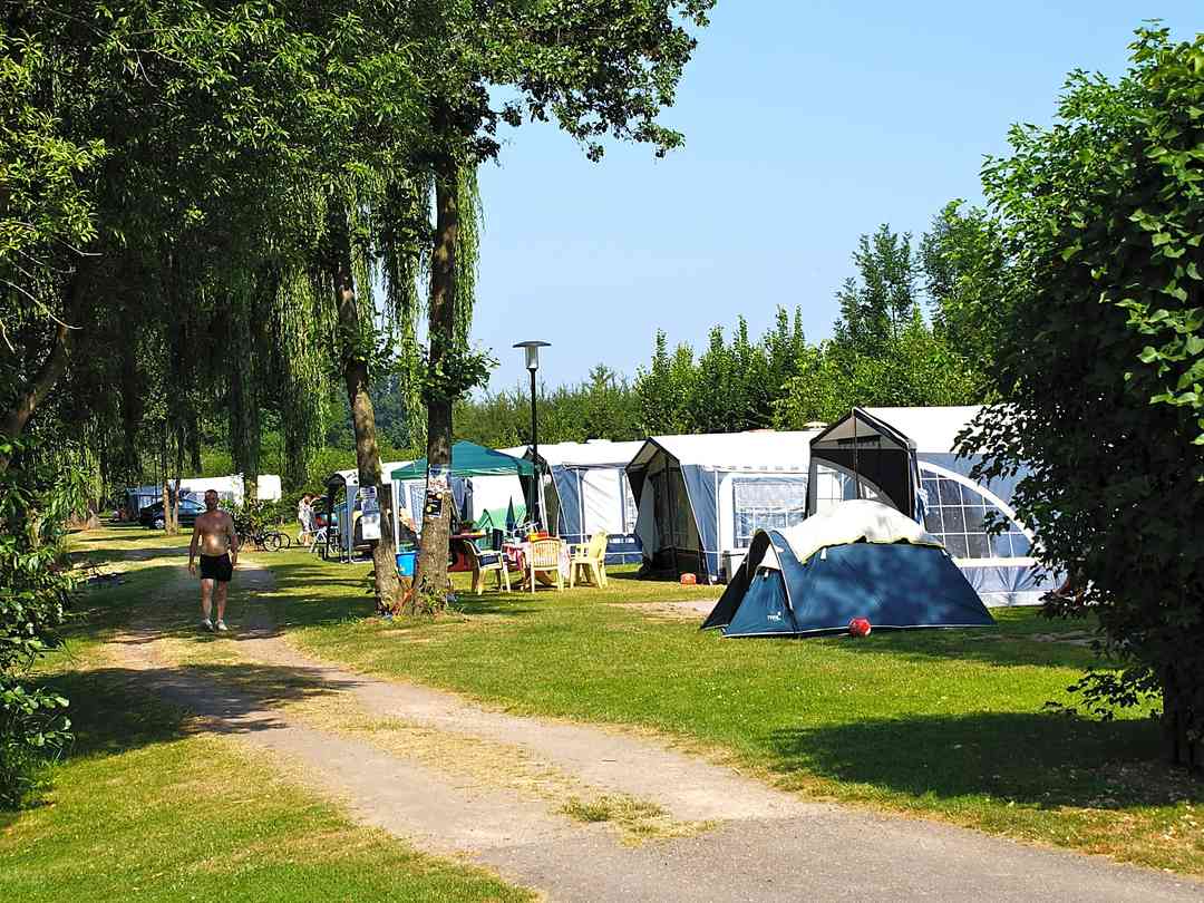 Goedkope campings voor tenten in Nederland vanaf € 7 per nacht Pitchup