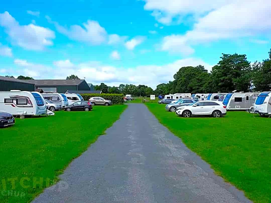 Egremont Pines Caravaning and Camping: The pitches
