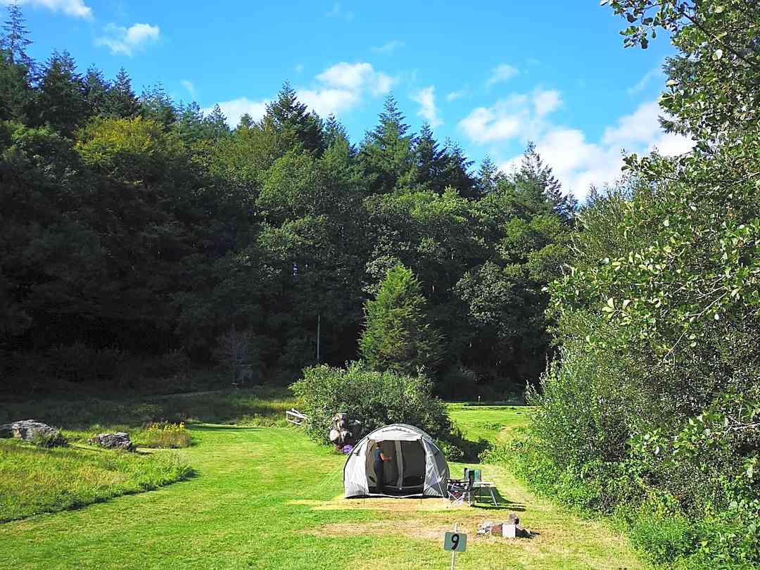 Watergate Camping, Looe - Updated 2021 prices - Pitchup®