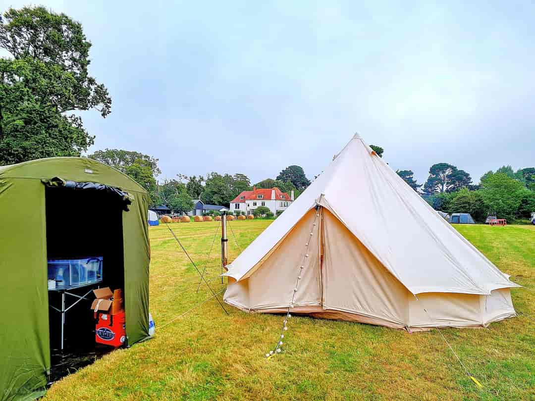 Camping at The Manor: Cannot believe how much space the pitches are