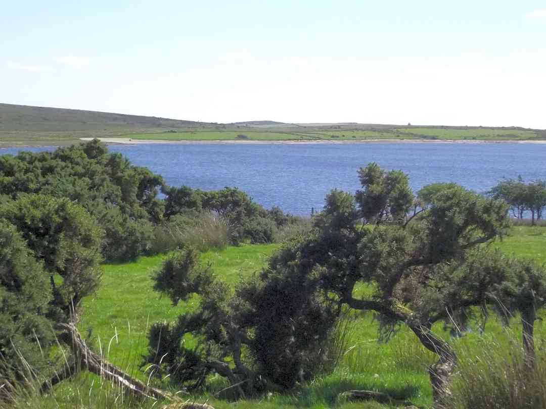 Colliford Lake Park Campsite Liskeard Pitchup