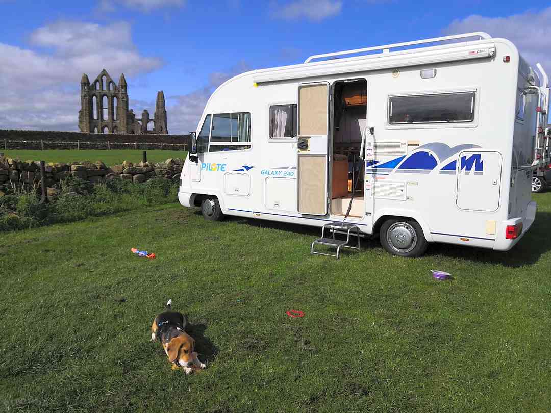 Abbey Farm Showfield: A stone's throw from the abbey (photo added by  on 21/09/2020)