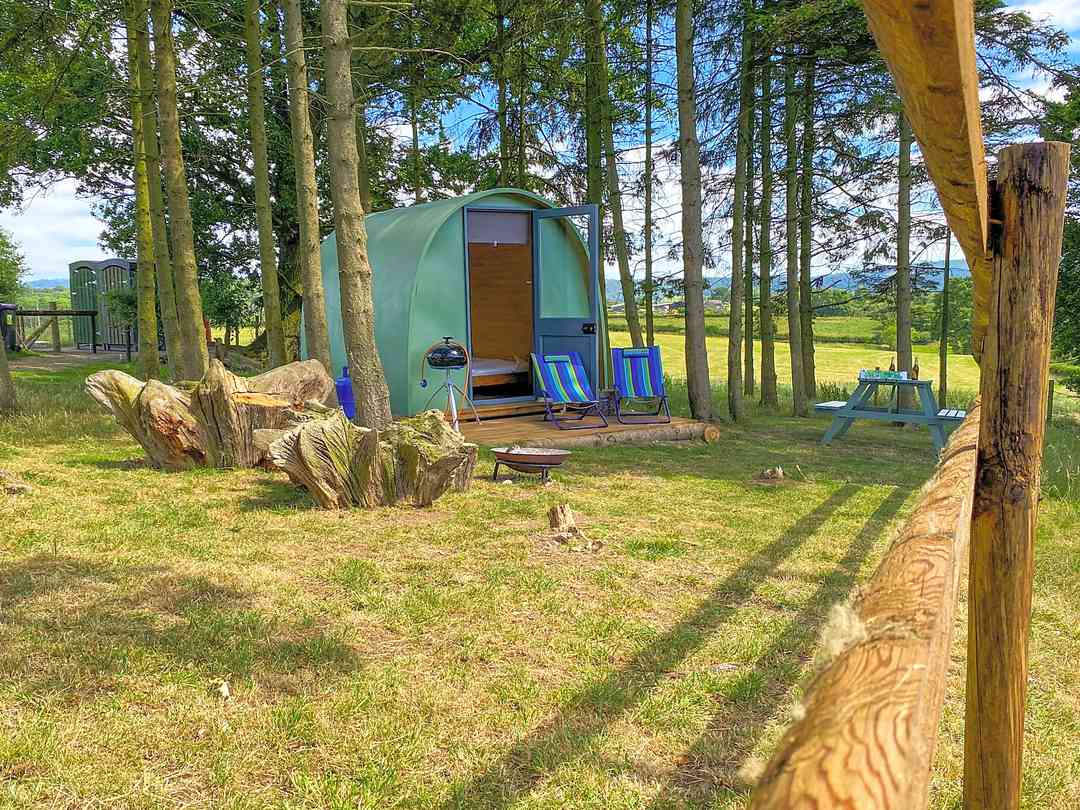 Minton Hill Pods: Pods among the trees (photo added by manager on 27/09/2022)