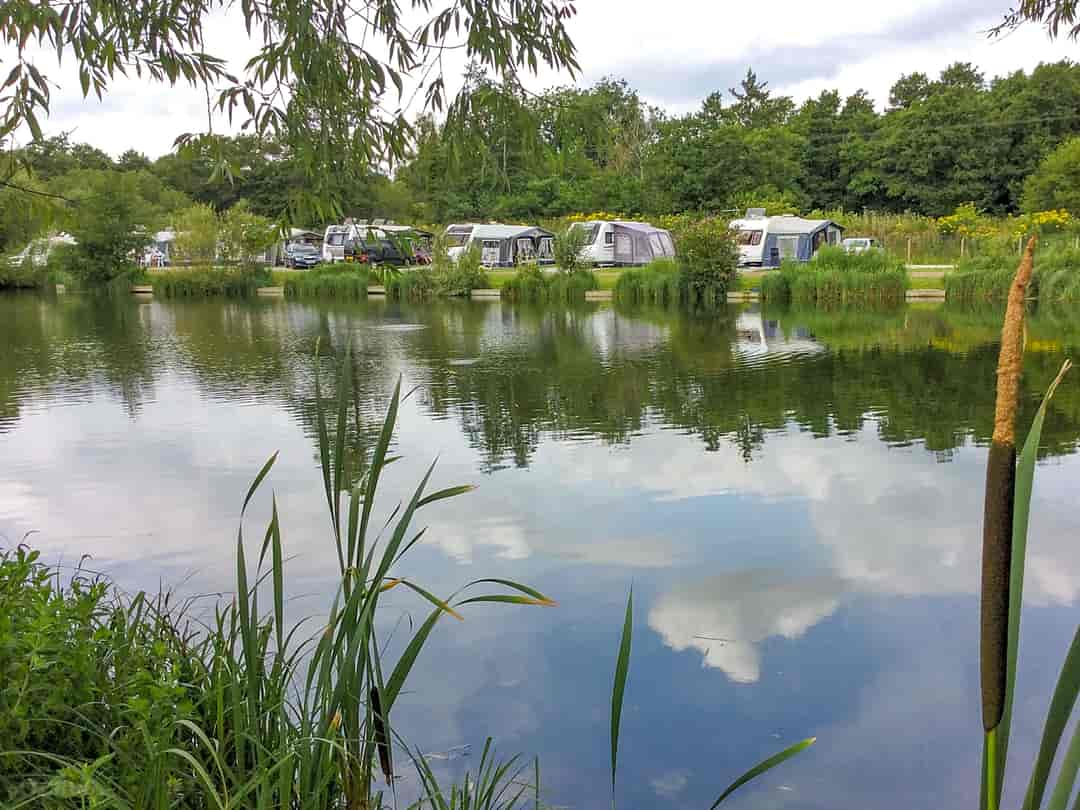 Narborough Fisheries: Pitches by the lake (photo added by manager on 07/09/2022)