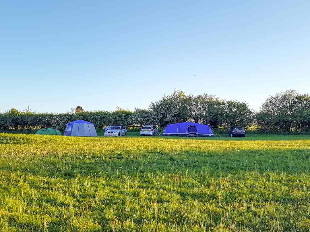 Larkhill Cottage Camping and Caravan Site: Visitor images of grass pitches