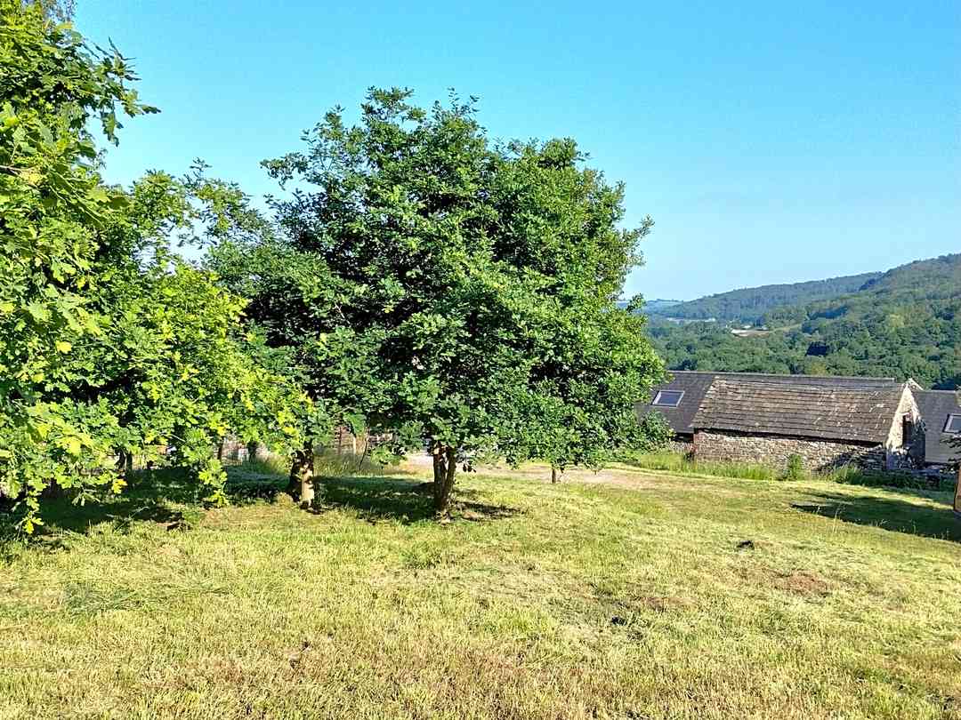 The Chicken House: View to the South (photo added by manager on 01/06/2023)