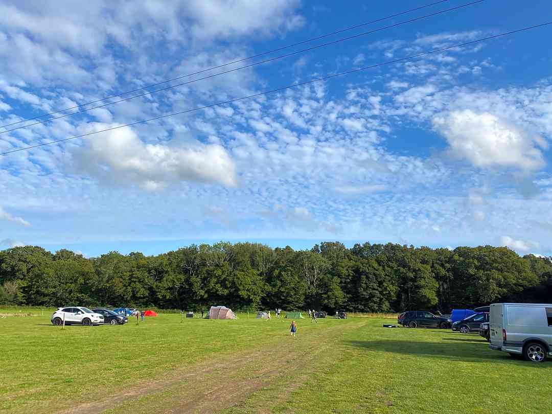 Wild Weald Camping (fotot lades till 2021-08-16)