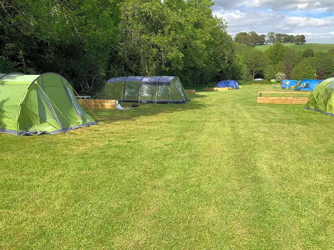 Haldon Forest Holiday Park: Electric tent pitches (photo added by manager on 03/06/2021)