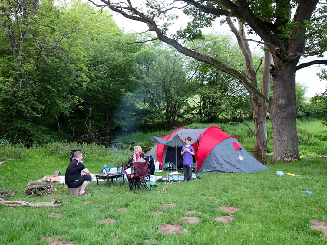 Lower Porthamel Camping: Overflow field on May bank holiday weekend