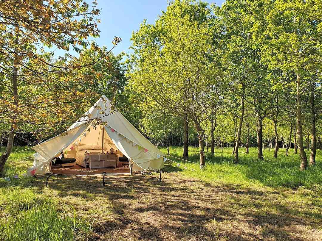 Best Campsites In Hingham Norfolk 2021 116 Hingham Norfolk Camping Sites On Pitchup