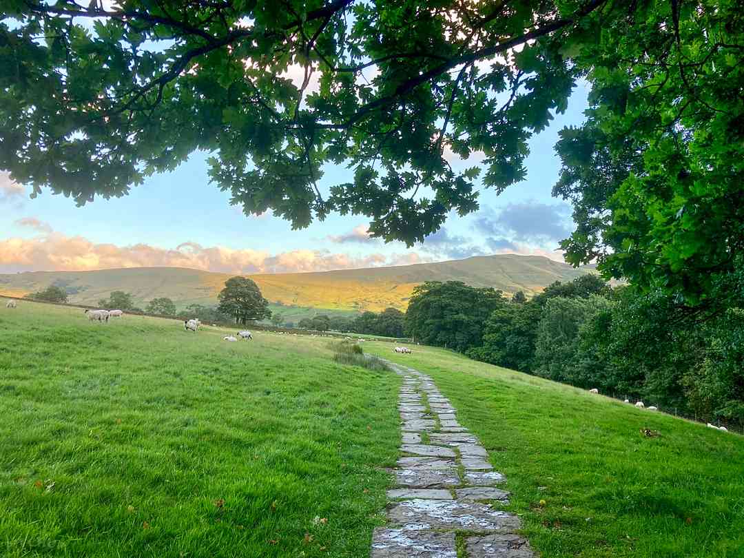 Newfold Farm: A trail from the village