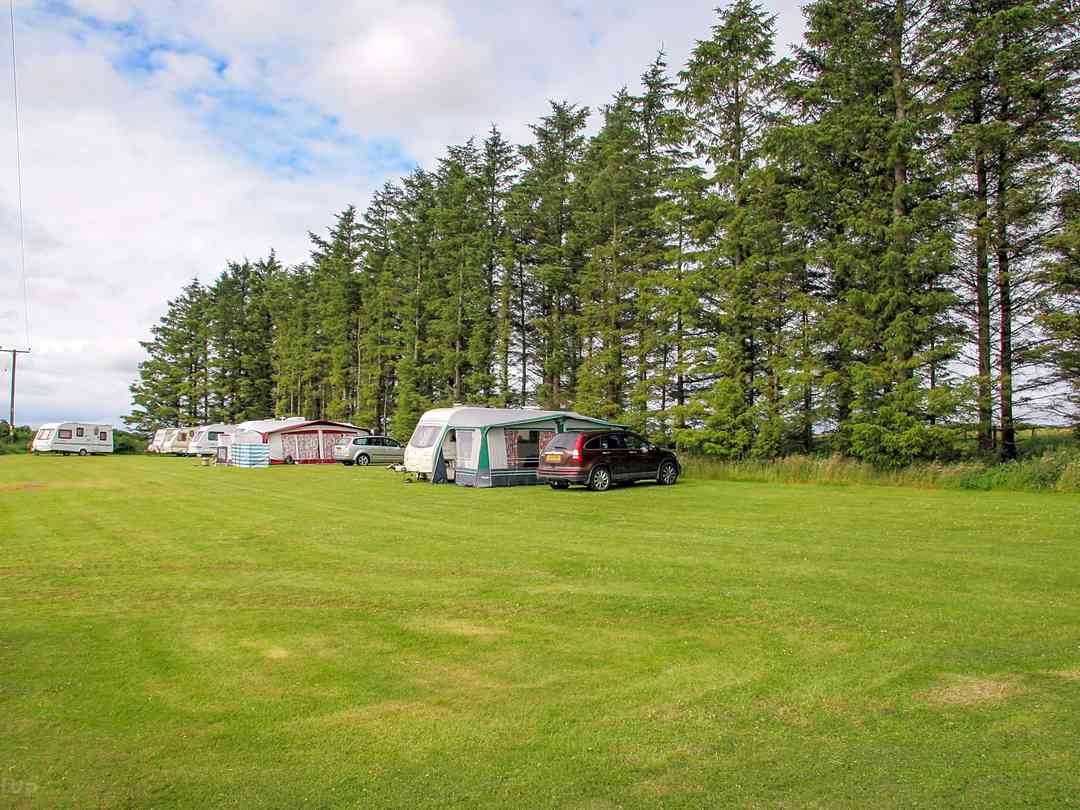East Balthangie Caravan Park: About as busy as it gets (photo added by manager on 26/08/2022)