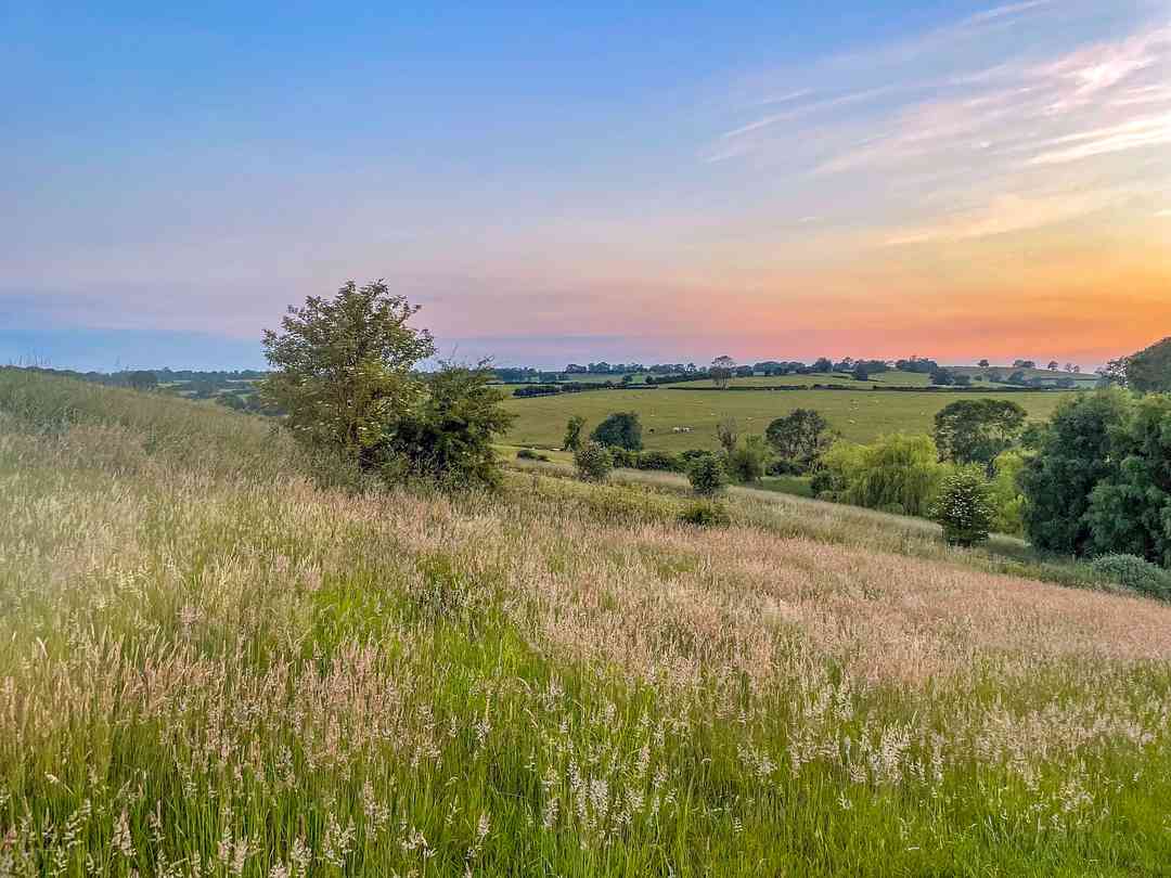Valley View Campsite