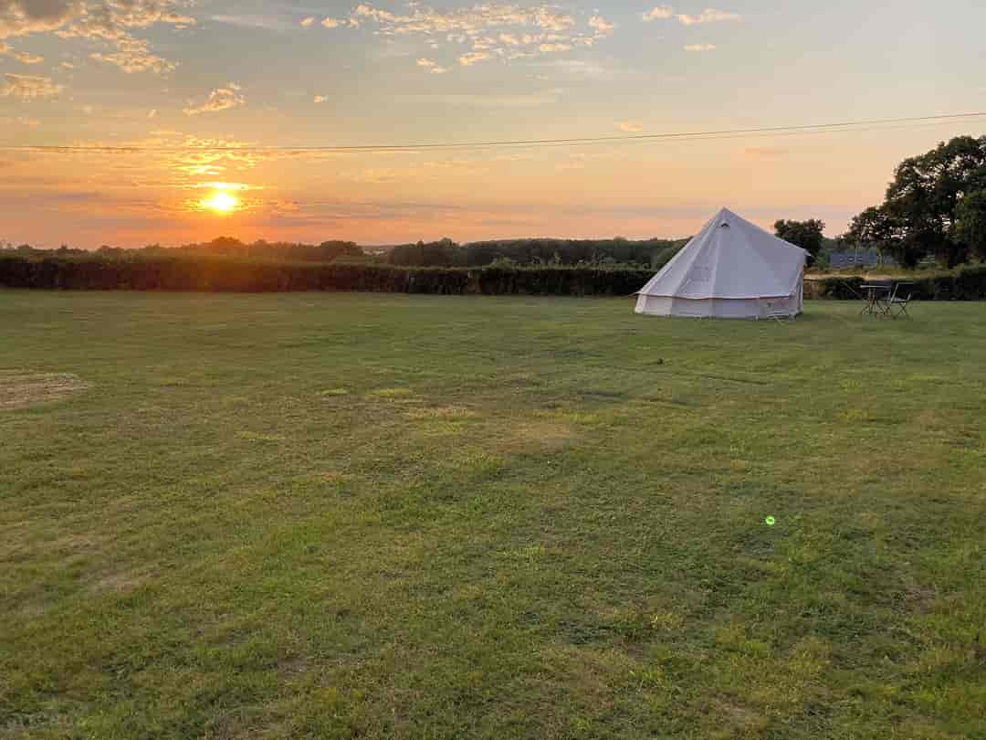 Hillside Farm Camping: The site's meadow