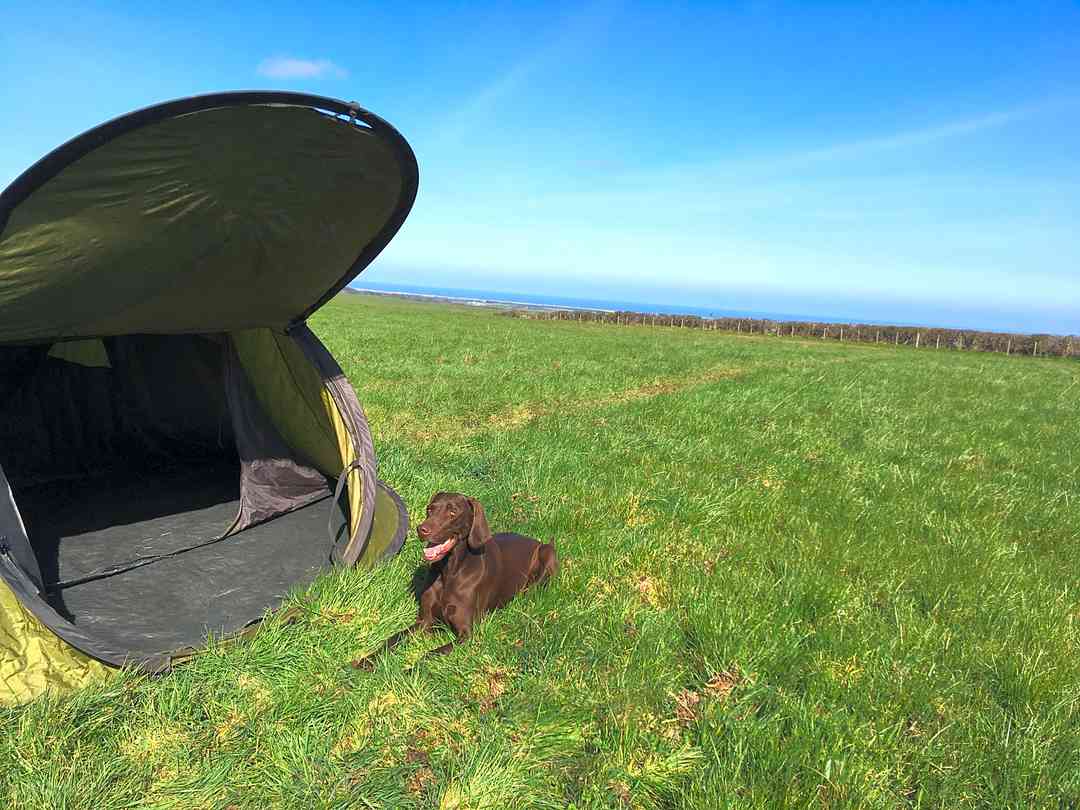 Best Campsites In Bamburgh Northumberland 2021 29 Bamburgh Northumberland Camping Sites On Pitchup
