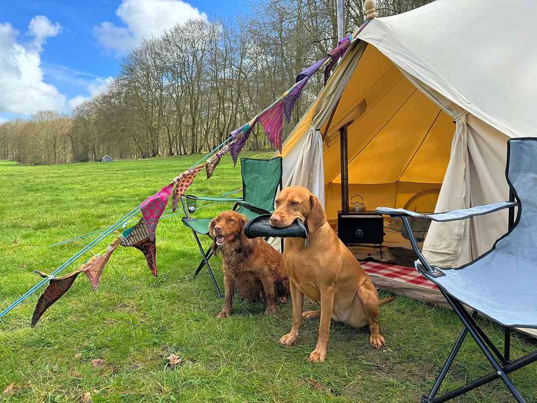 Newhouse Farm Wild Camping (fotografie přidána správcem na 02.04.2024) Newhouse Farm Wild Camping (fotografie přidána správcem na 02.04.2024)