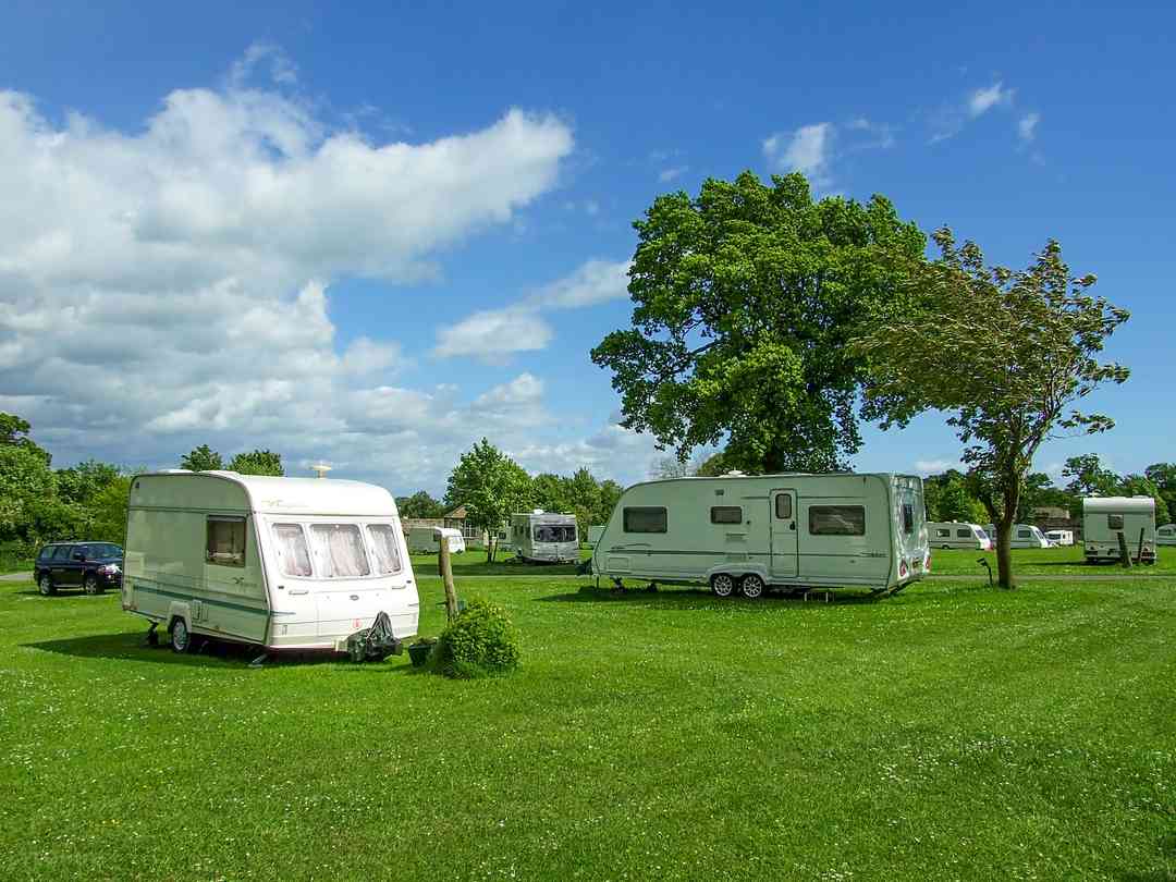 Constable Burton Hall Caravan Park: Pitches on site