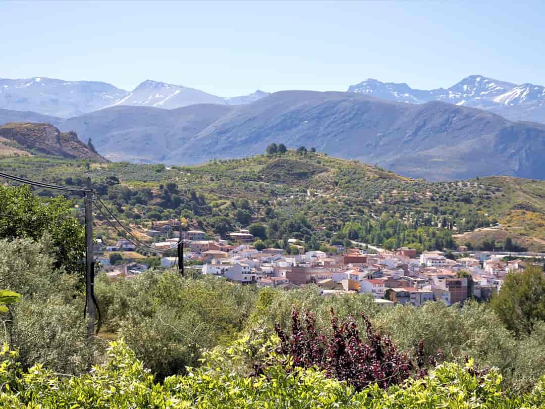 Camping Alto de Viñuelas: View from the site