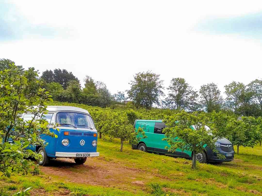 The Hen's Dens at Orchard Organic Farm: Camping