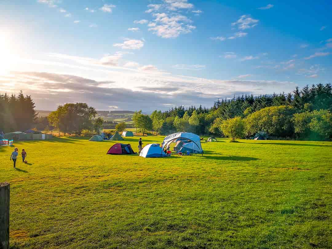 The Nipstone Campsite: Visitor image of the pitches (photo added by manager on 21/10/2022)