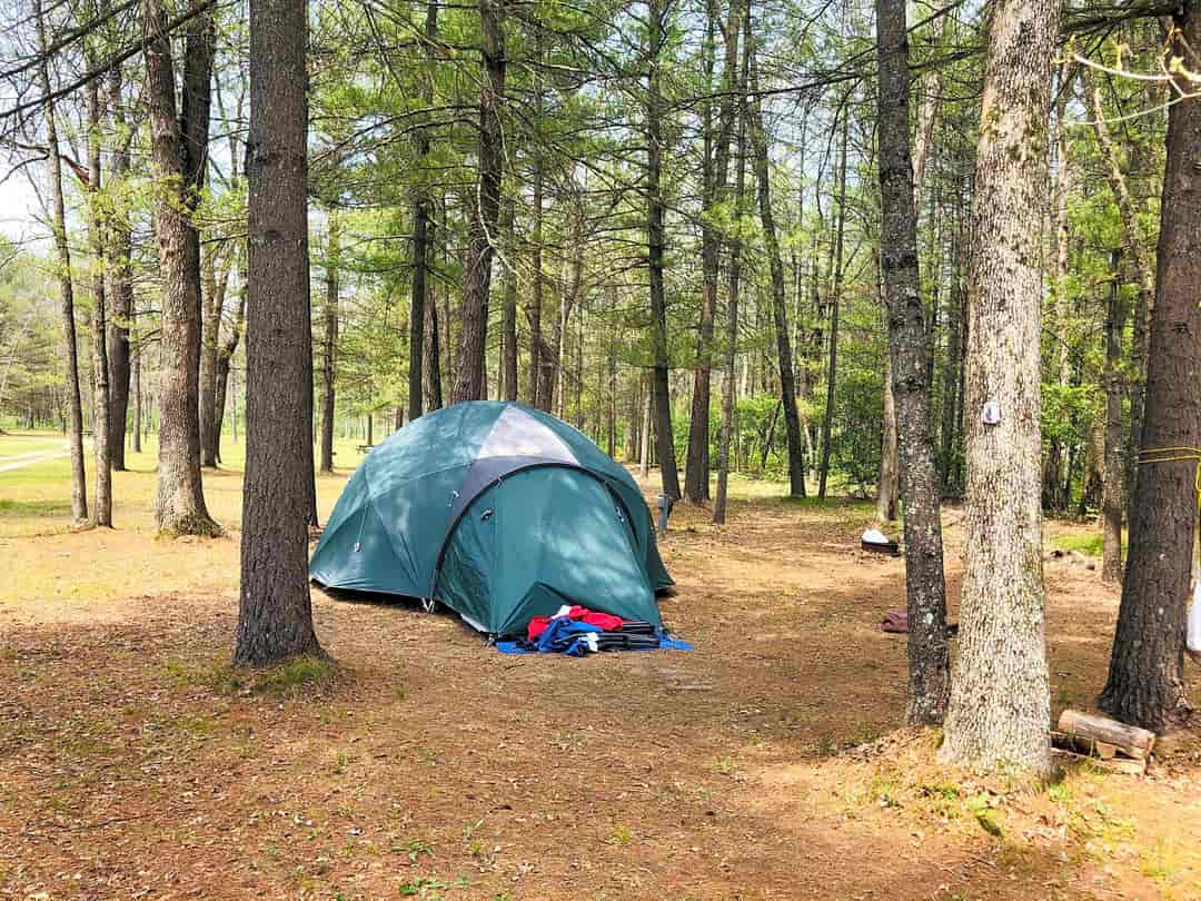 Peaceful Winds RV Park: Tent site