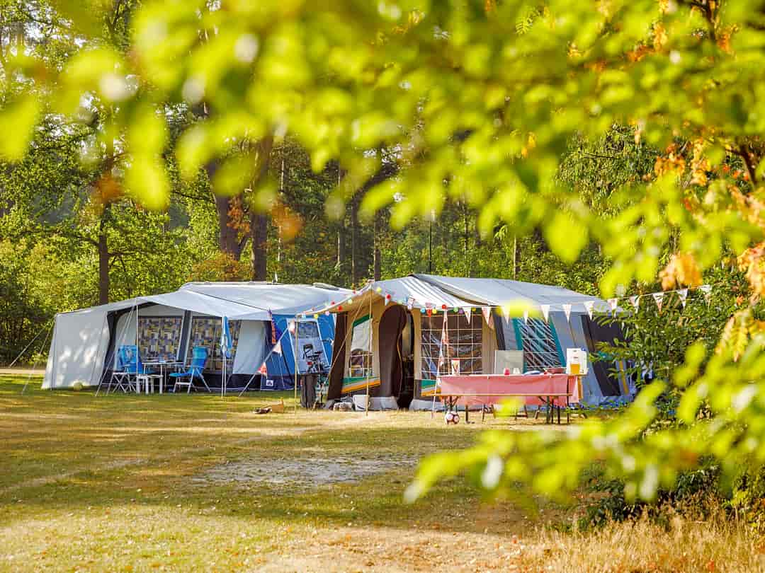 Camping De Noordster: Large pitches