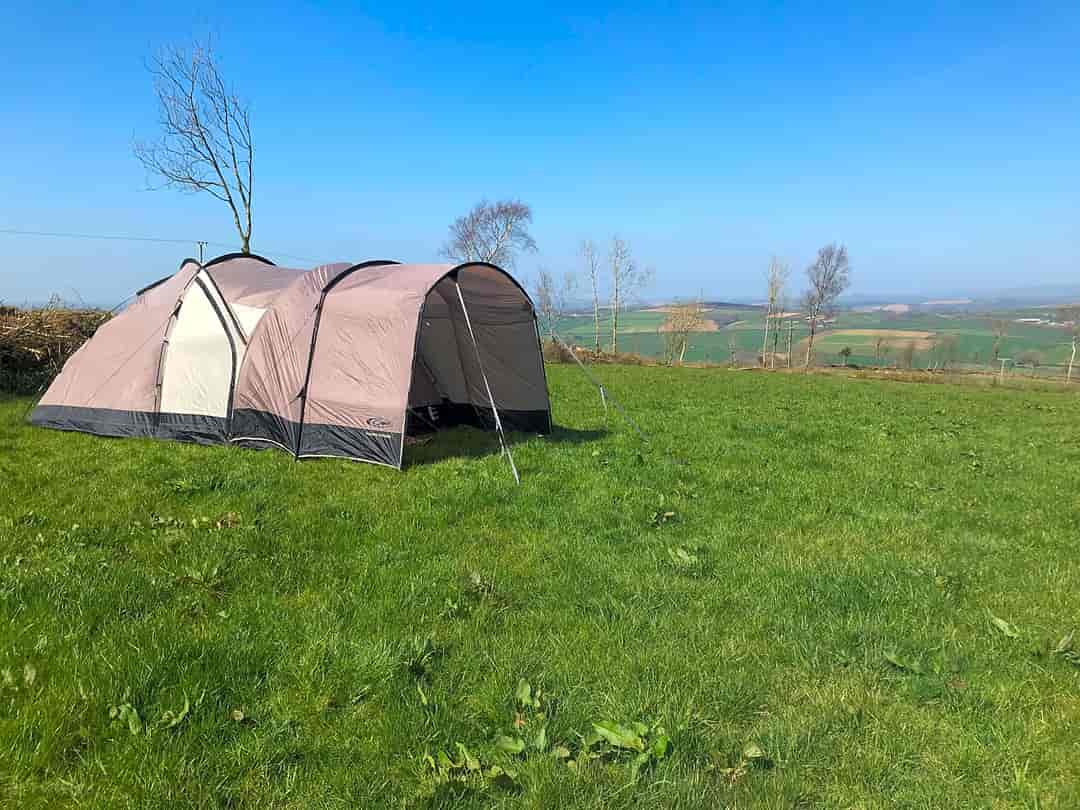 Pearchay Farm Camping: Pitched tent in camping field