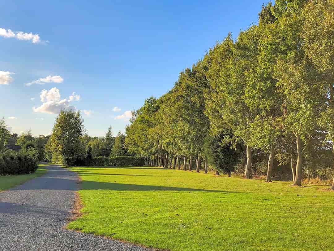 Bosworth Caravan Park: Grass pitches