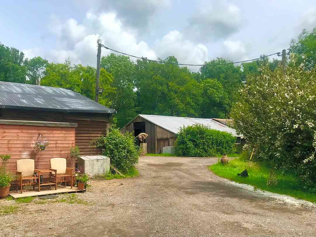 Woodlands Camping: Livery Yard at The Plantation