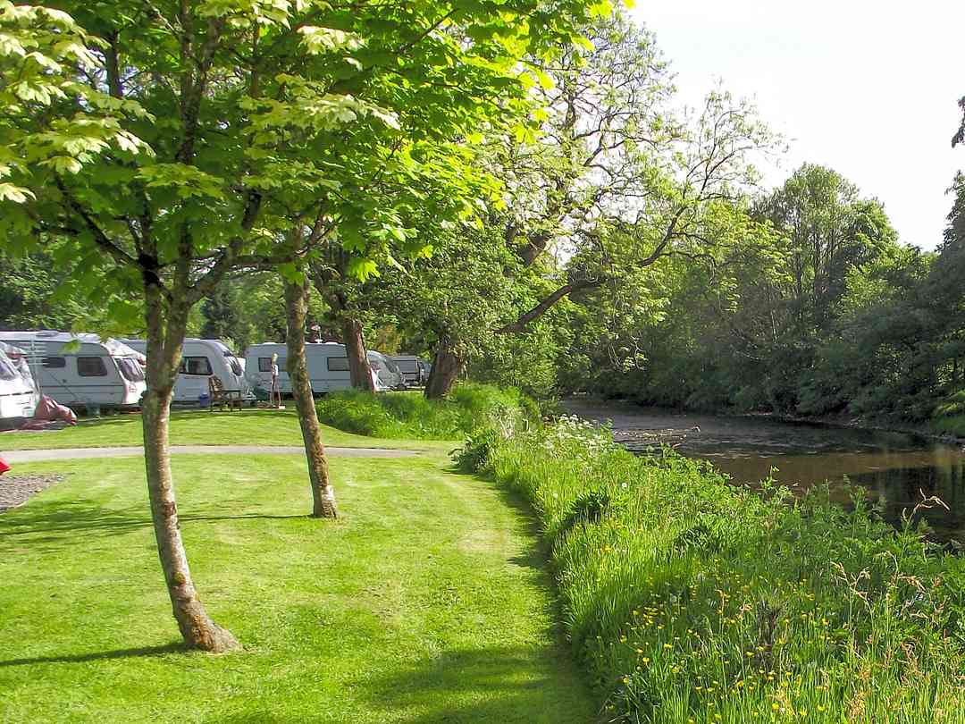 Riverbend Caravan Park: Pitches (photo added by manager on 12/09/2022)