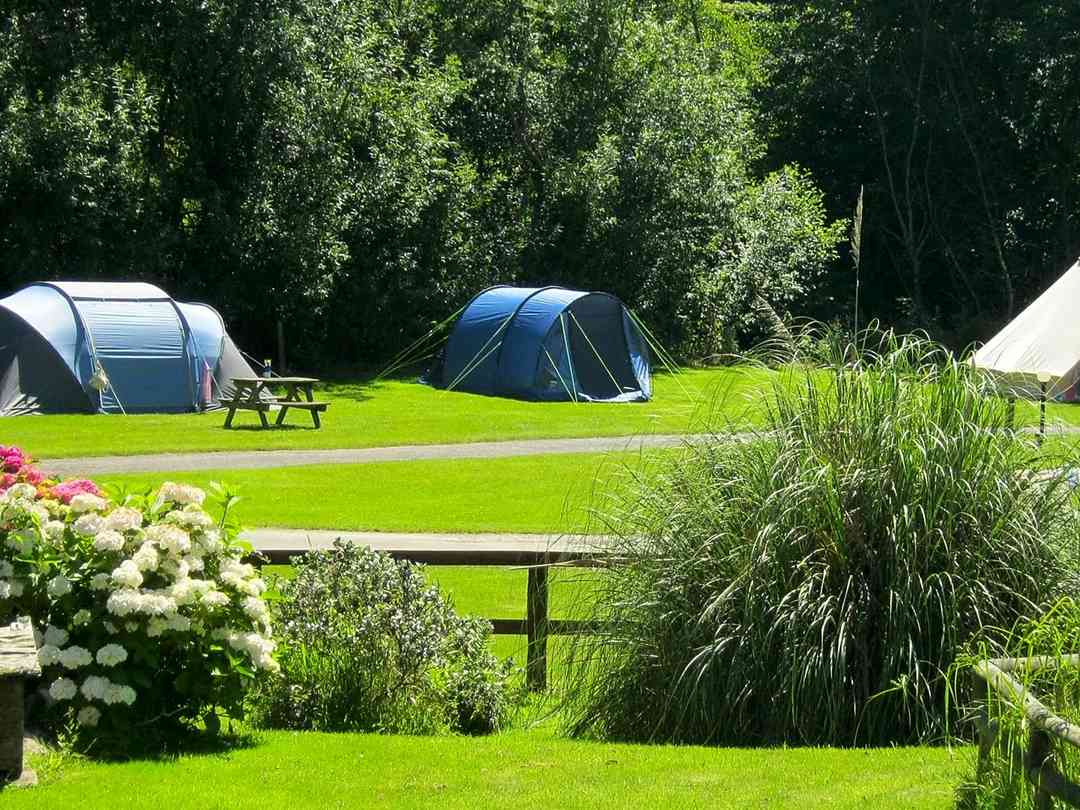 Willow Valley Camping Park Bude Updated 2020 Prices Pitchup