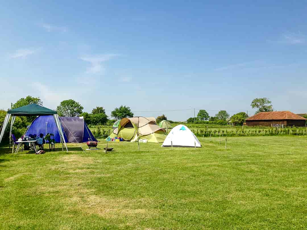 The Croft Campsite: Camping pitches