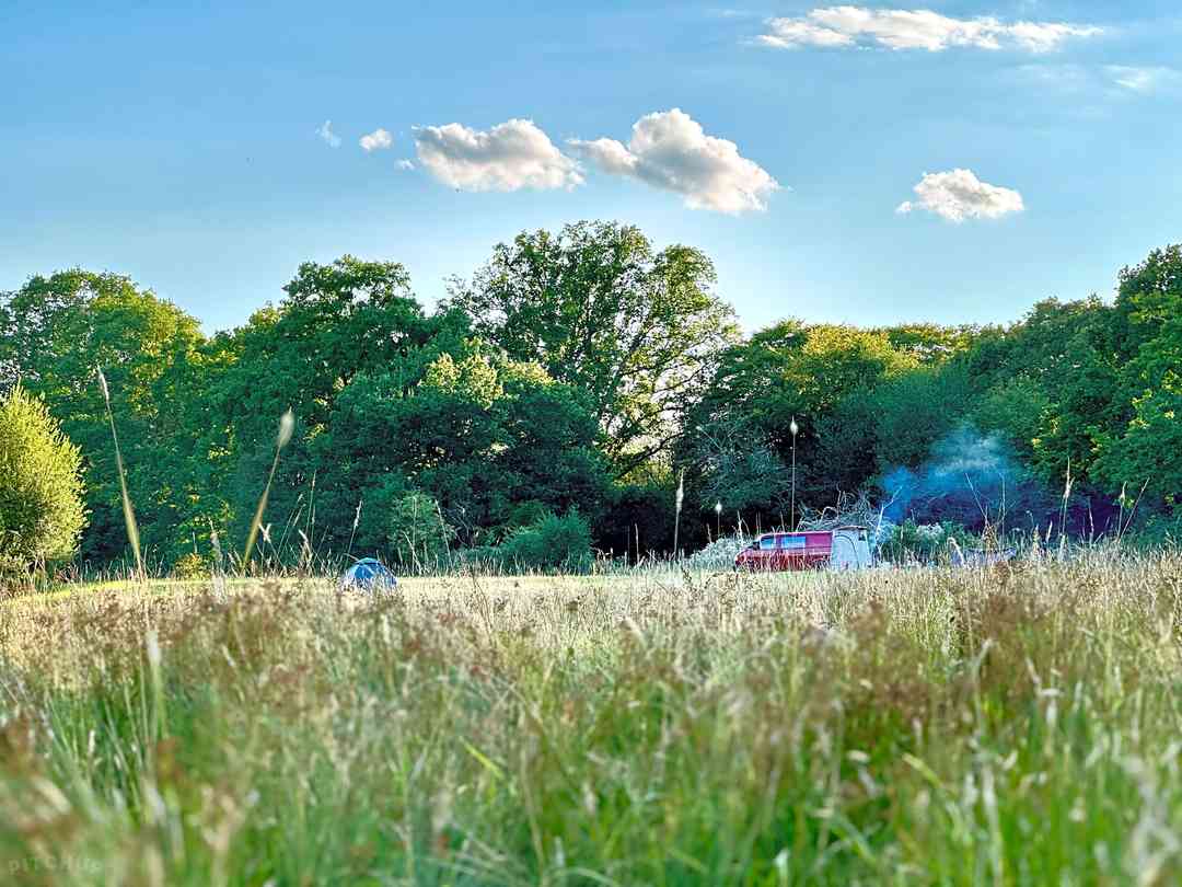 Grovers Meadow (bilde lagt til av leder den 08/04/2025)