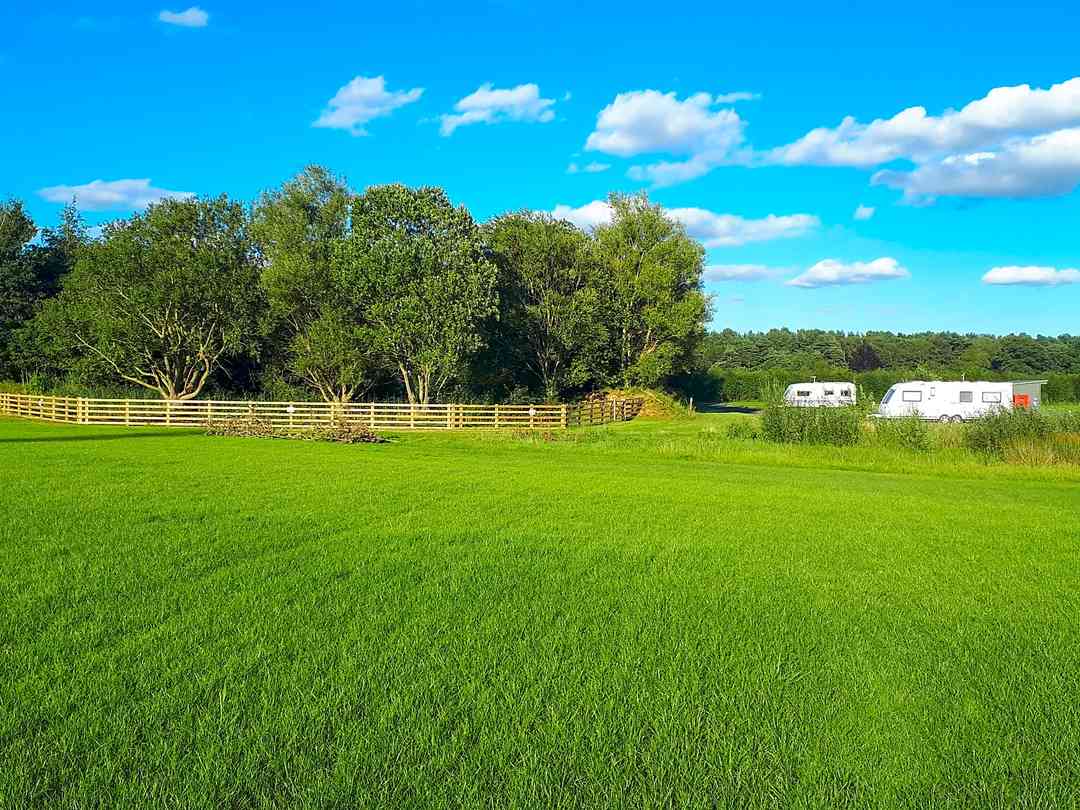 Old York Forest (fotografie přidána správcem na 12.08.2022)