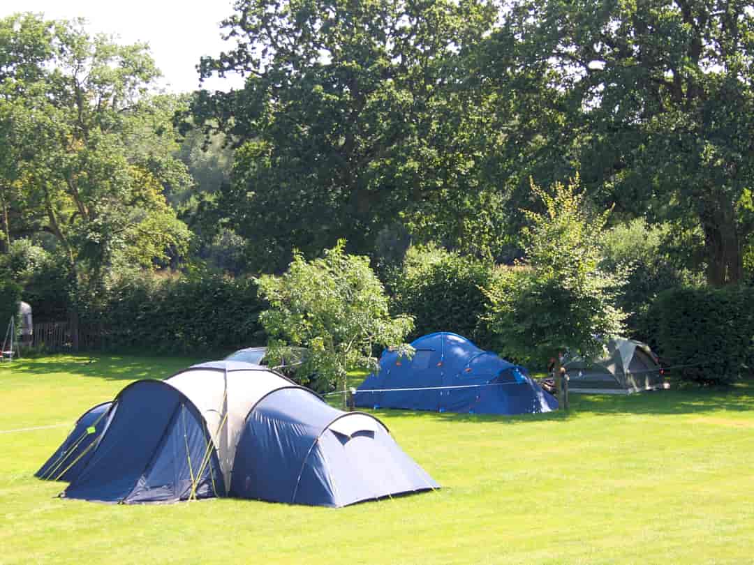 St Leonards Farm Caravan and Camping Park: Spacious pitches