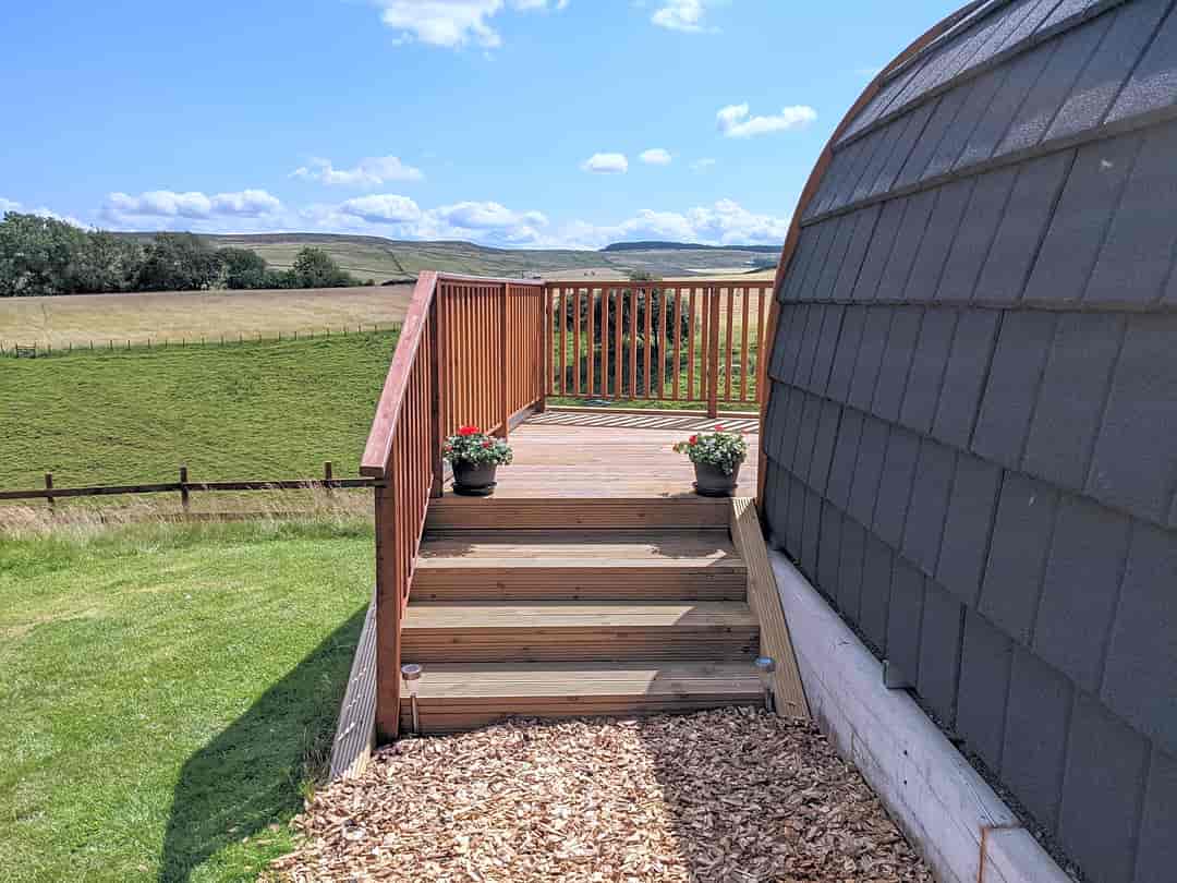 Highside Farm: Wood chips path and steps up to the pod