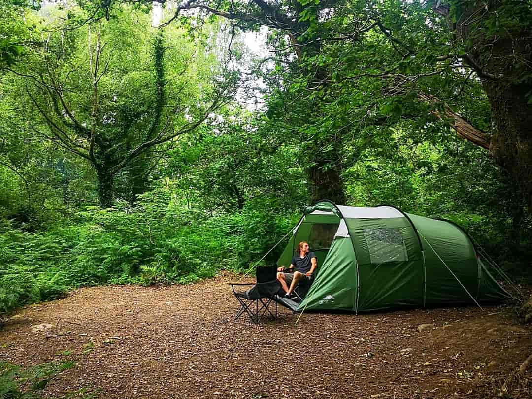 Cefn Coed: Secluded personal pitches