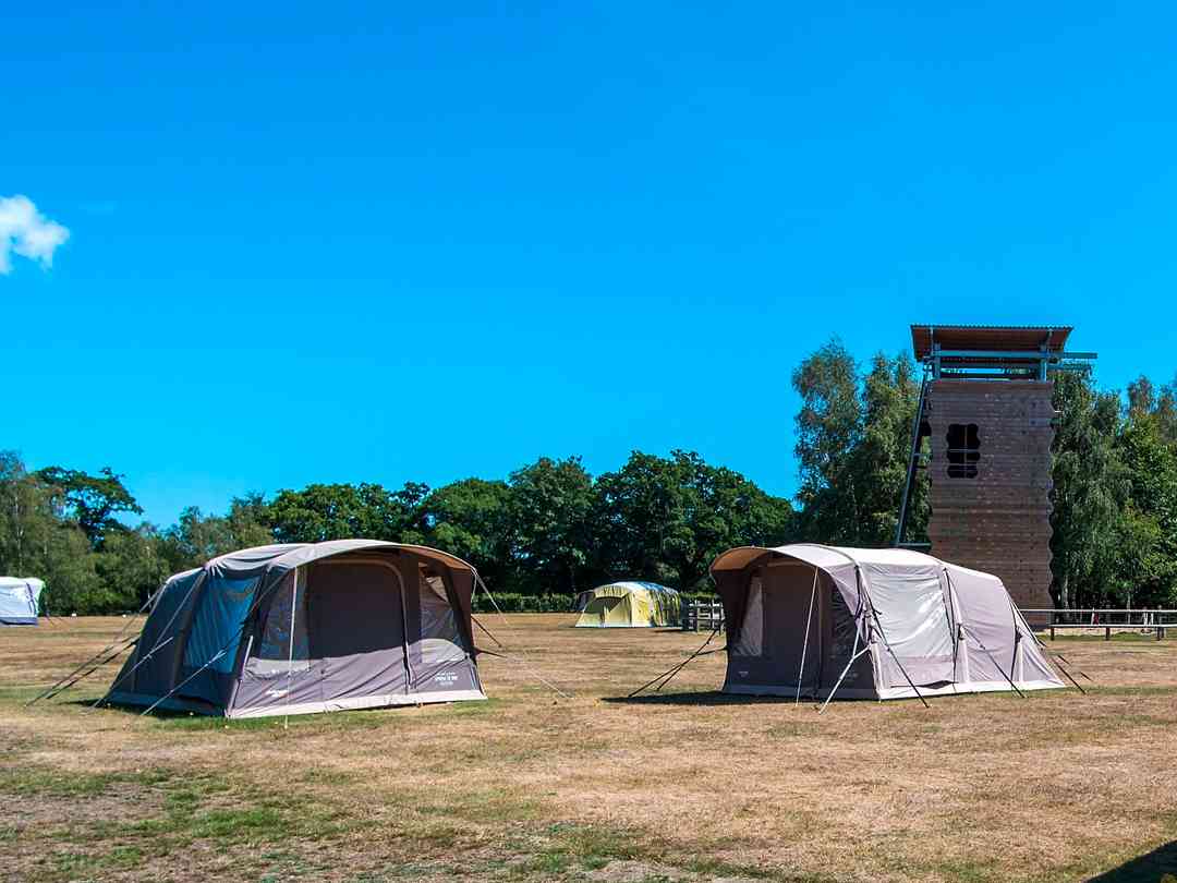 New Forest Activities Beaulieu Pitchup