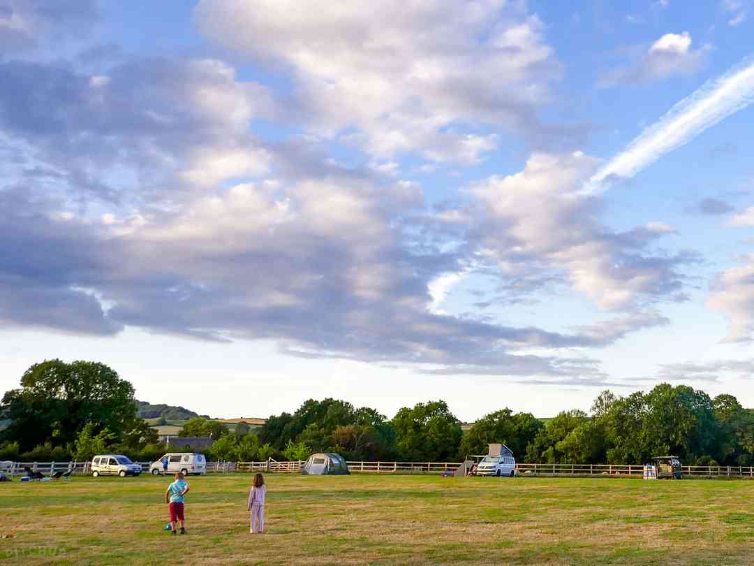 Pilsdon View Camping: Pitches on site