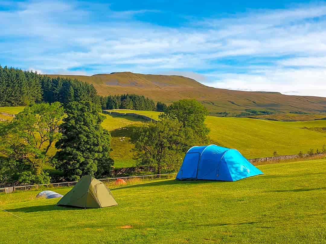 Philpin Farm: Visitor image of the campsite towards whernside (photo added by manager on 07/09/2022)