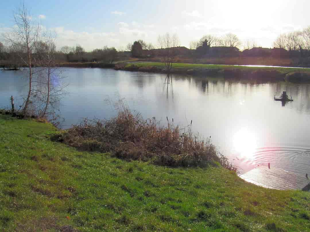 Hallcroft Fishery and Caravan Park: View of the lakes