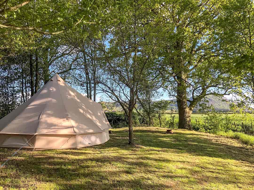 Sychpwll Centre: Bell tent