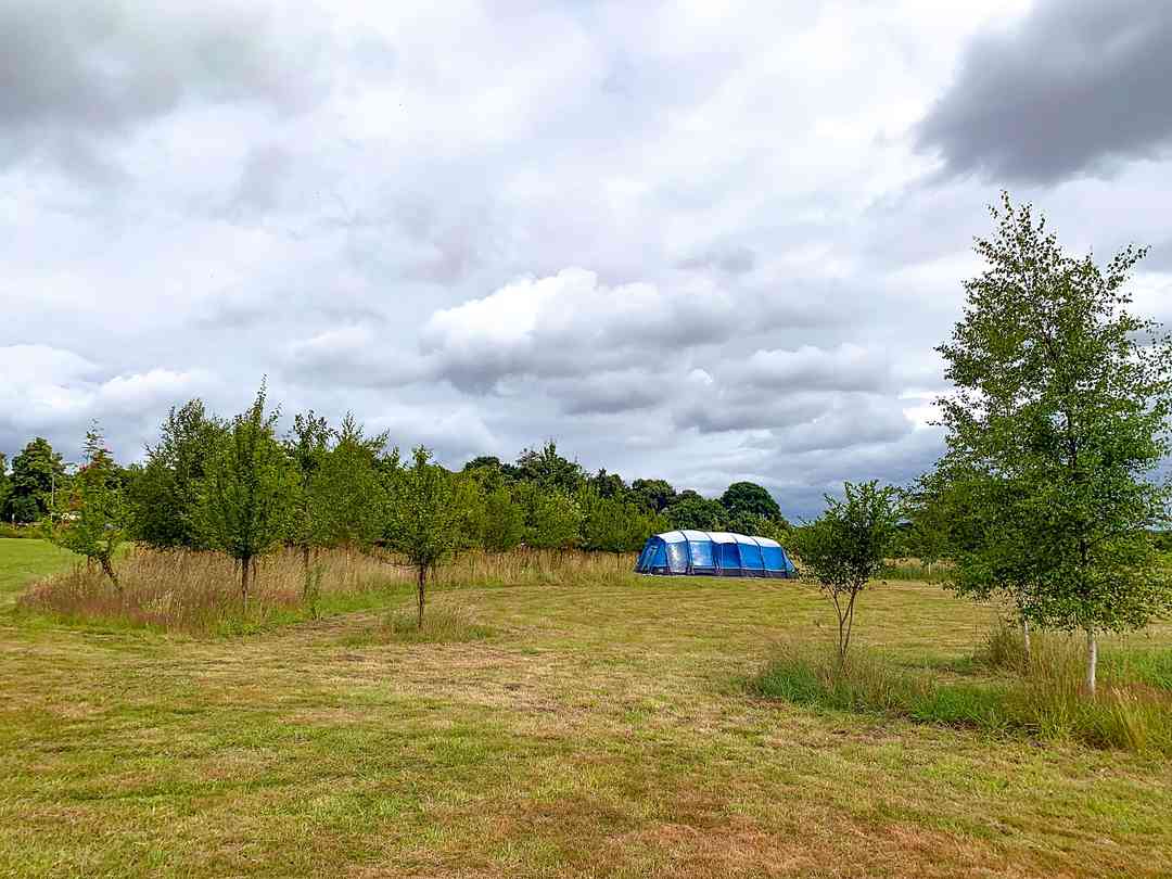 Small Trees Campsite: Happy campers