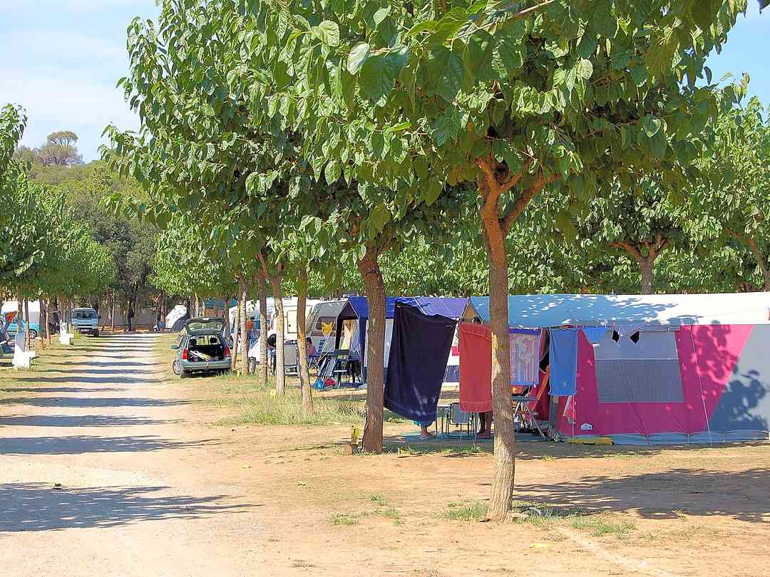 Find Cheap Tent Camping Sites In Girona Pitchup