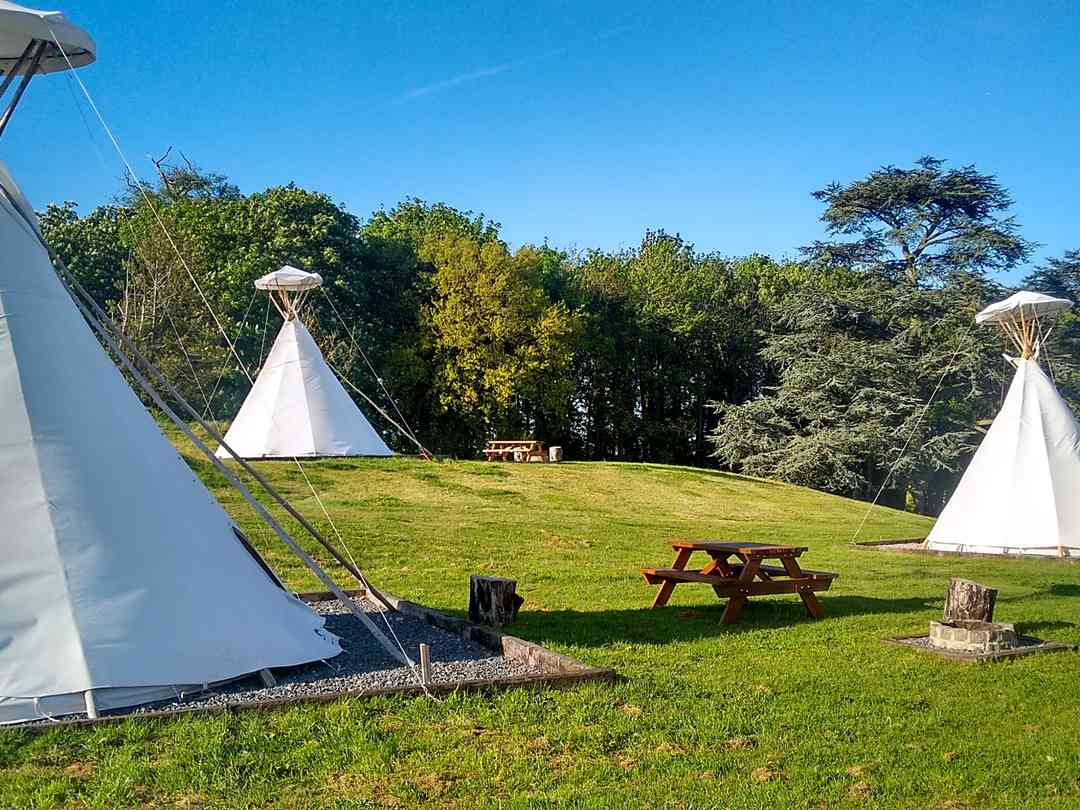 Campsites In Warwickshire 2022 From 13 Nt Pitchup