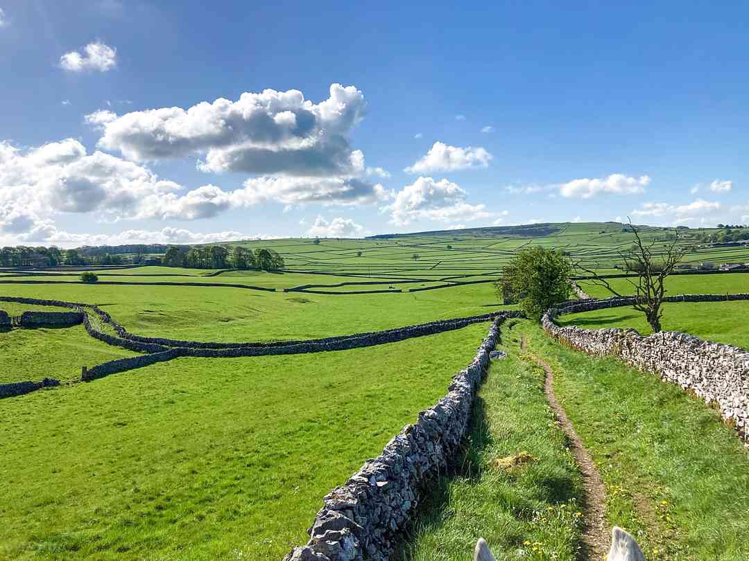 Stanley Lodge Farm （经理于2023年4月20日添加的照片）