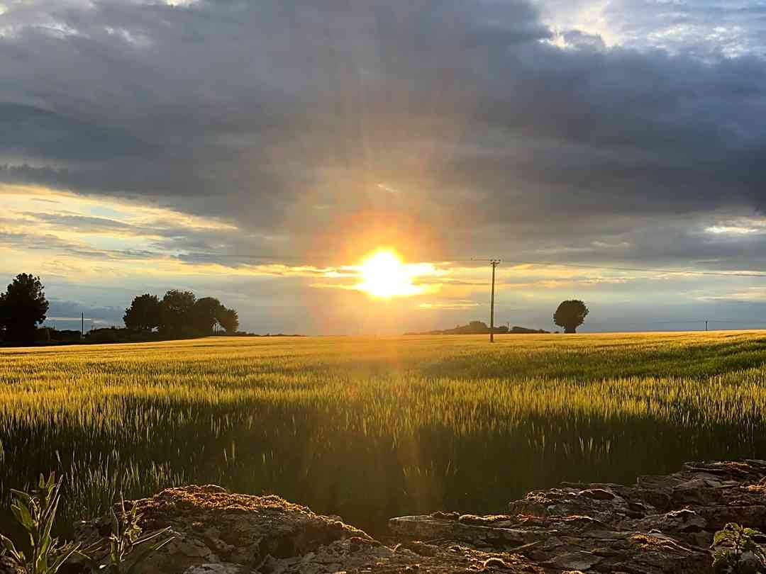Stancombe Ash Farm: We have spectacular sunsets over the farm